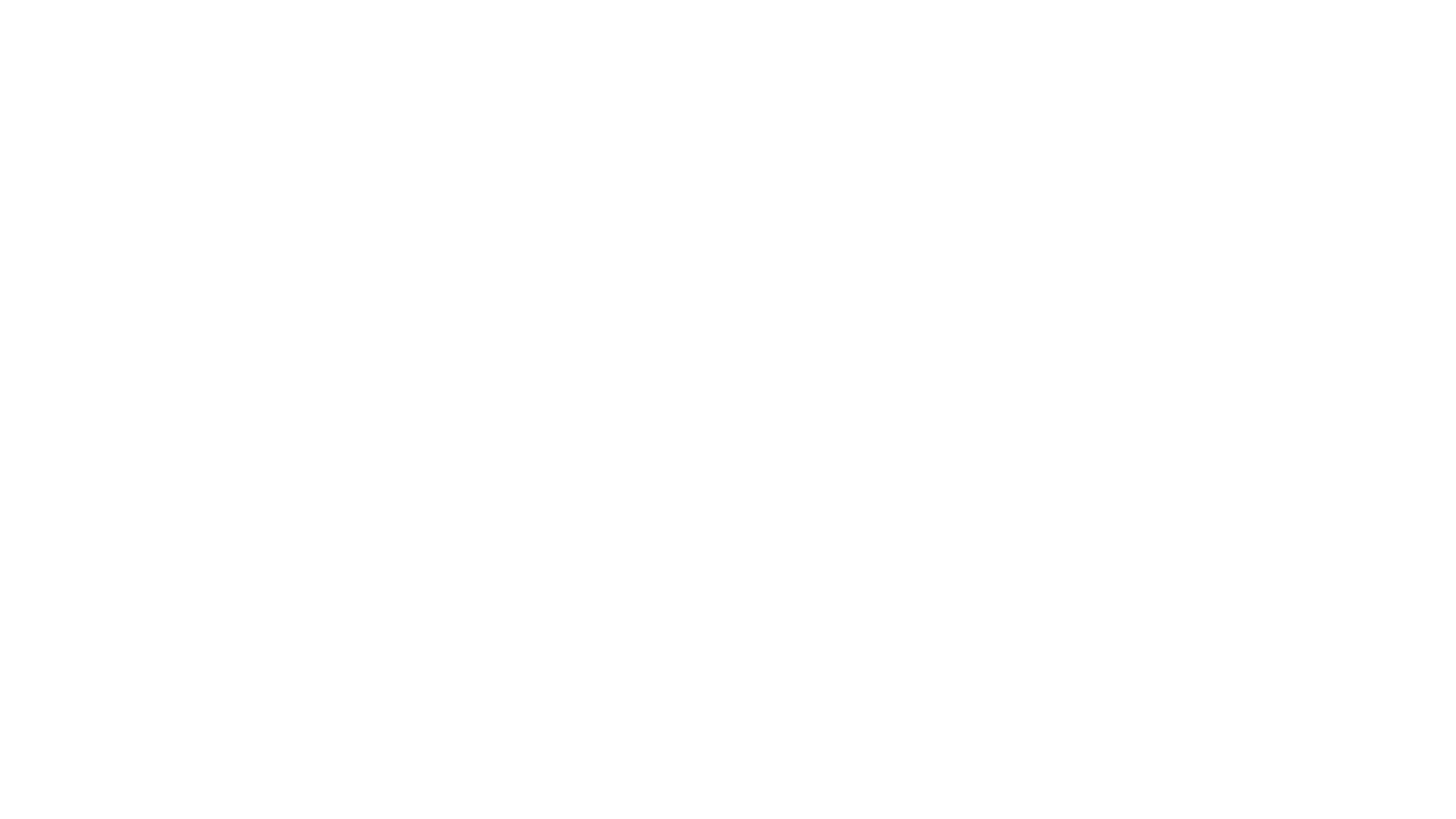 Fly Shadez